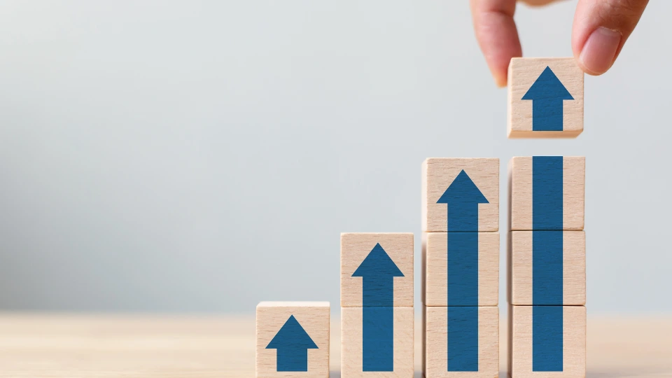 revenue management definition