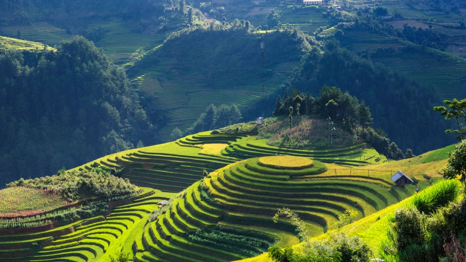 A natural landscape in Vietnam