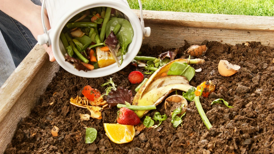 Compost Food Waste