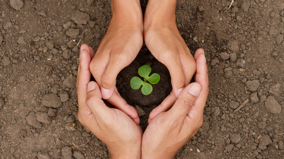Involve Guests in Sustainability Efforts