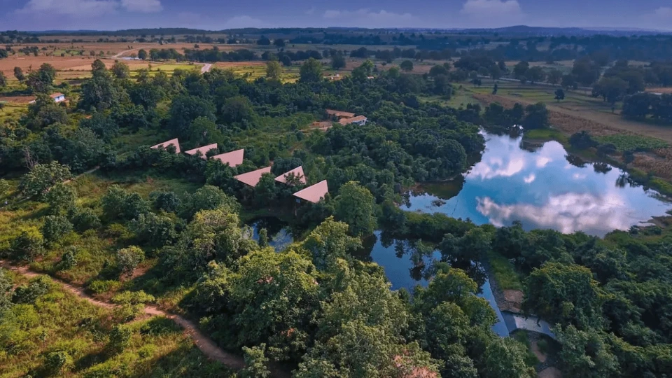 Pench Tree Lodge in India