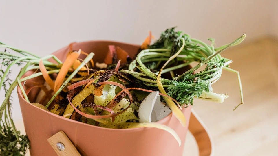 Reduce Food Waste