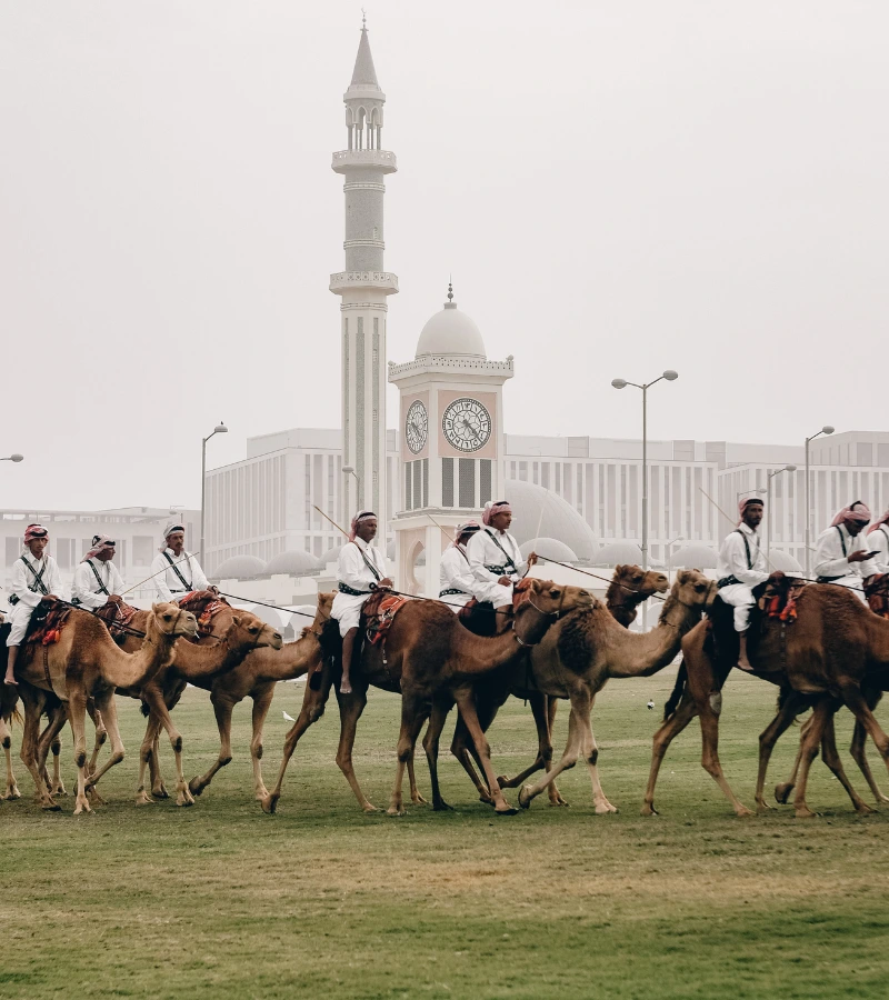 group of arab men riding camels in doha, qatar